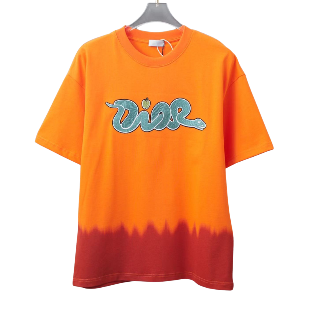 Dior and Kaws Embroidered Logo Tee