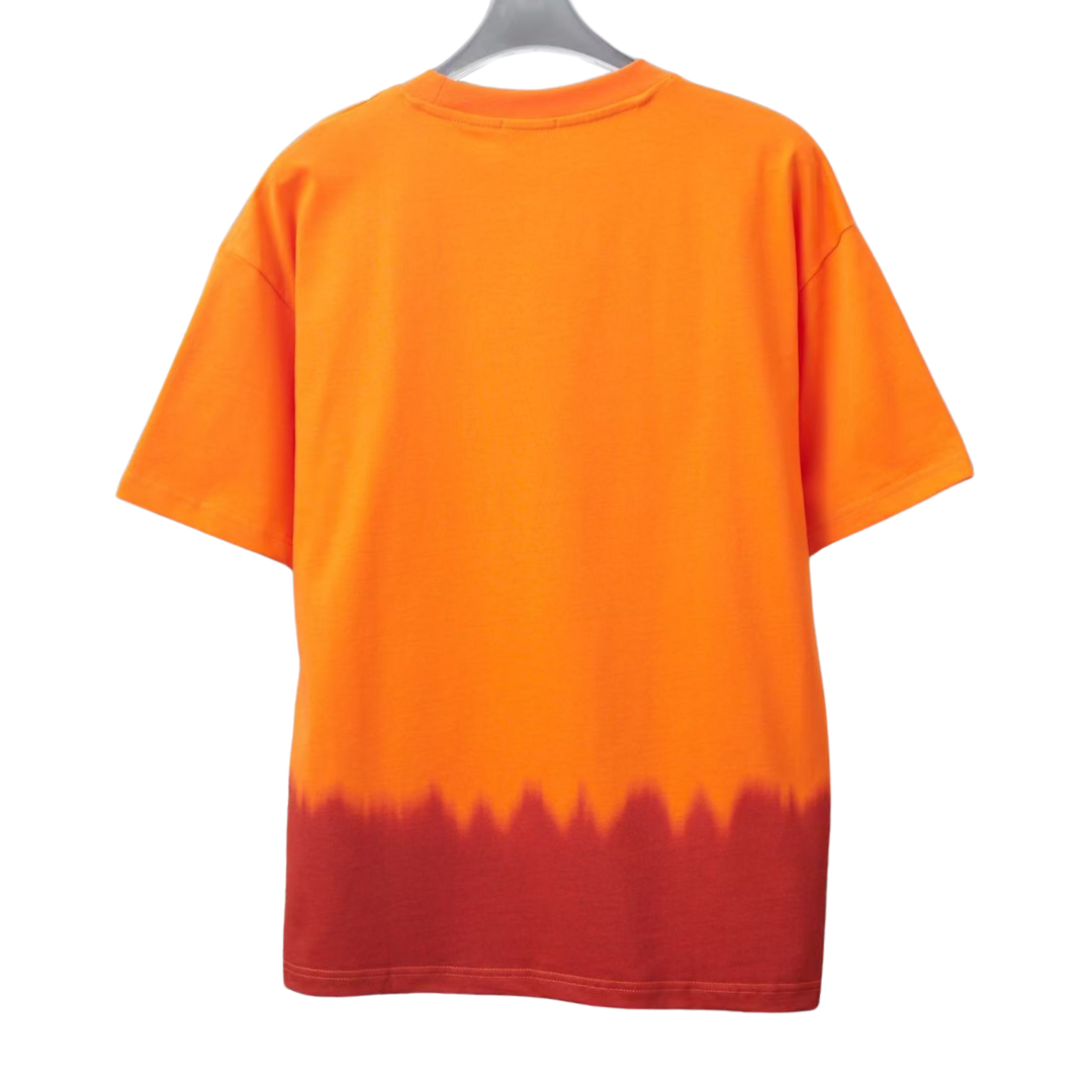 Dior and Kaws Embroidered Logo Tee