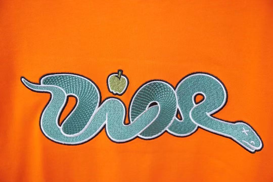 Dior and Kaws Embroidered Logo Tee